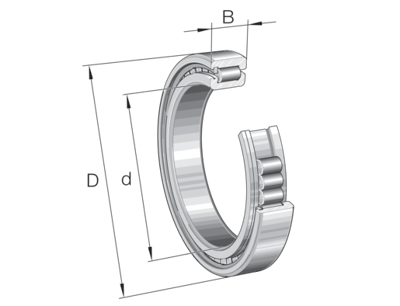 INA SL183007-A-XL-C3