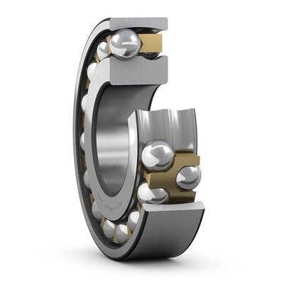 SKF 1205 EM