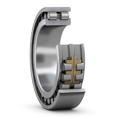 SKF NN 3006/SP