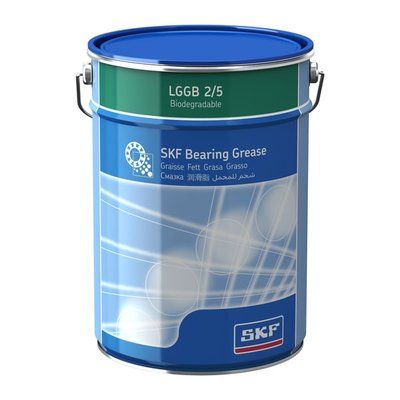 SKF LGGB 2/5
