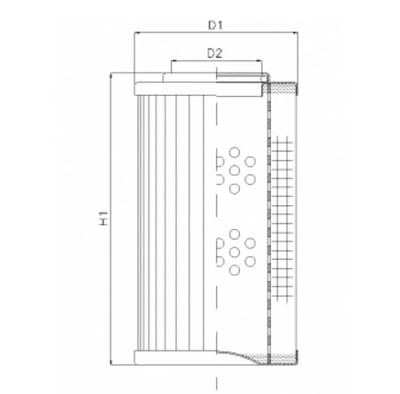 Filtrec D1100G06AV