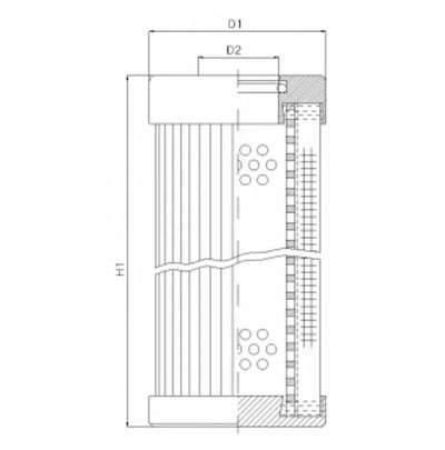 Filtrec D1100G06BV