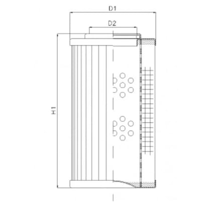 Filtrec D1100G25AV