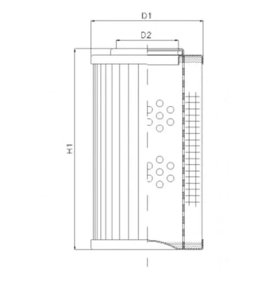 Filtrec D1102G25AV