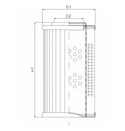 Filtrec D124C25A