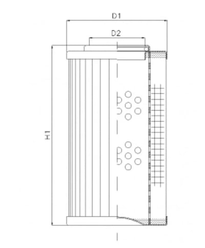 Filtrec D810G10AV