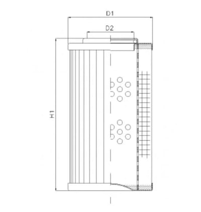 Filtrec DLD170B25B