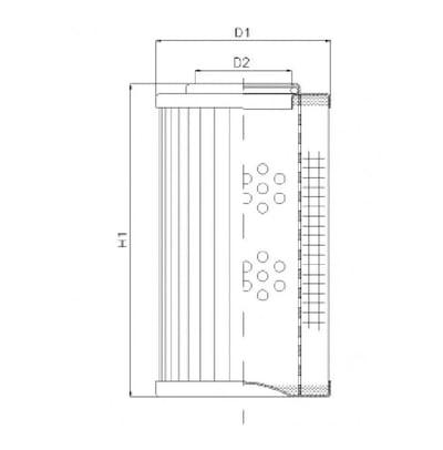 Filtrec XD250T100AV