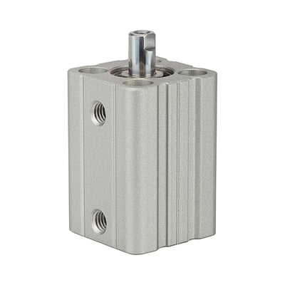 Riegler 115048