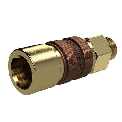 Riegler 136981