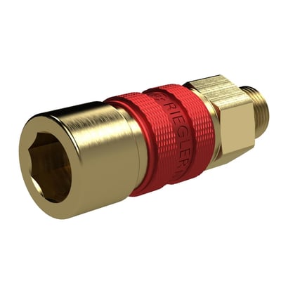 Riegler 136985