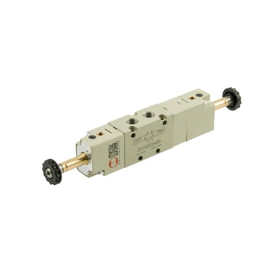 Riegler 145715