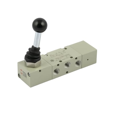 Riegler 149912
