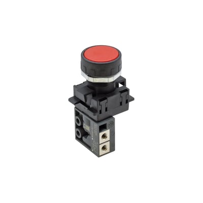 Riegler 154124