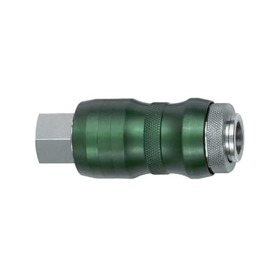 Riegler 134077