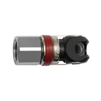Riegler 141622