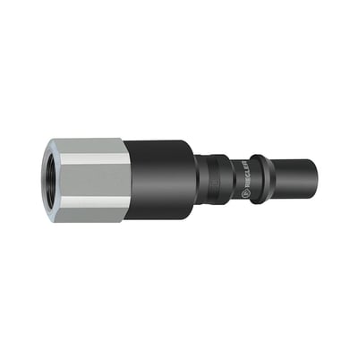Riegler 141772