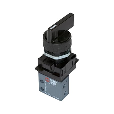 Riegler 106408