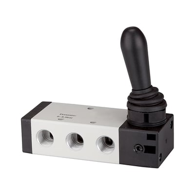 Riegler 115968