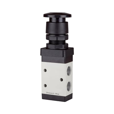 Riegler 116006
