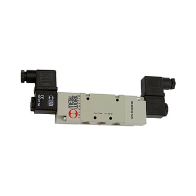 Riegler 106556