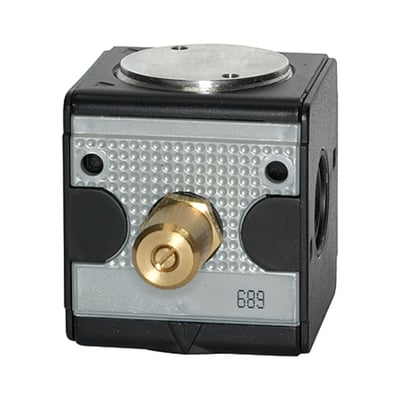 Riegler 100626