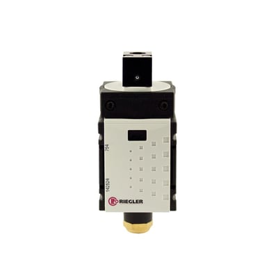 Riegler 142524