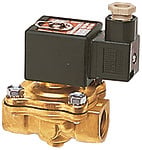 Riegler 102854