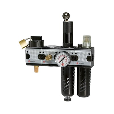 Riegler 100602