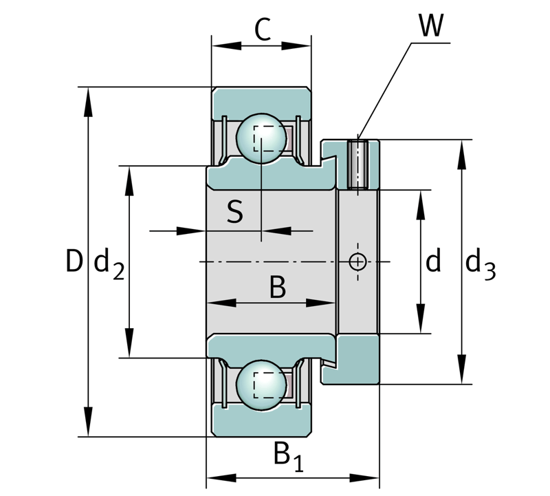 INA RA100-XL-NPP-FA106 Spannlager - Bild 2
