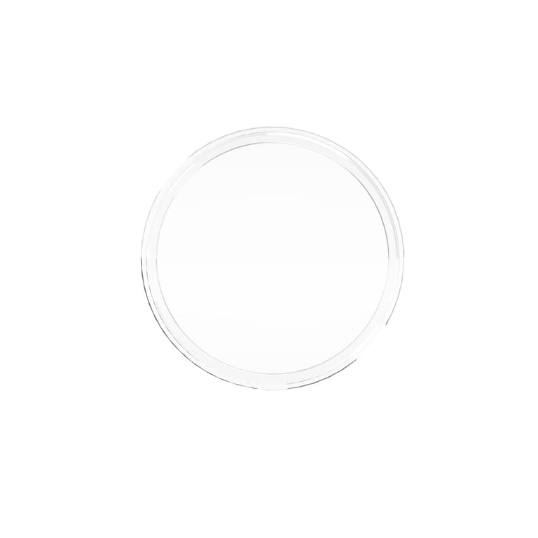 Riegler 117340 Sichtscheibe aus Kunststoff, für Manometer NG 40 - Bild 2