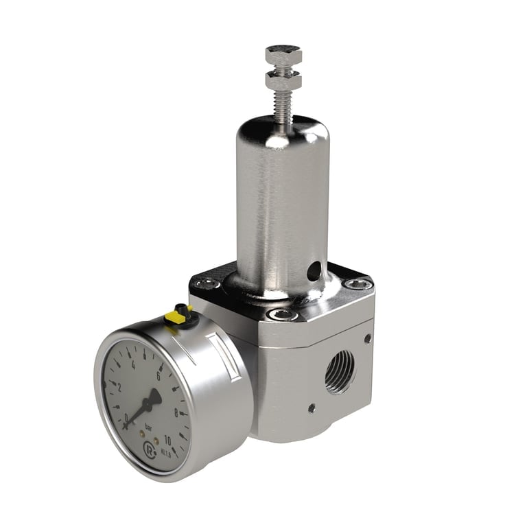 Riegler 136413 Edelstahl-Druckregler, 1.4404, rücksteuerbar, G 1/4, 1,0 - 17 bar - Bild 1