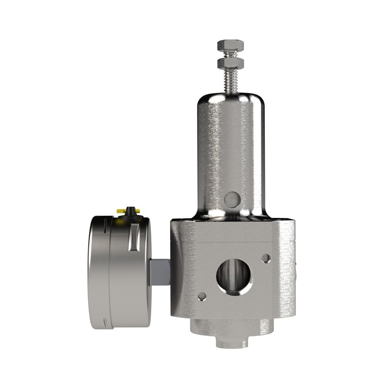 Riegler 136413 Edelstahl-Druckregler, 1.4404, rücksteuerbar, G 1/4, 1,0 - 17 bar - Bild 3