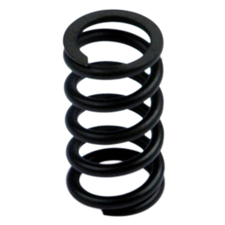 Riegler 145634 Feder »SYNTESI«, BG 1, 0-4 bar, Antikorrosion