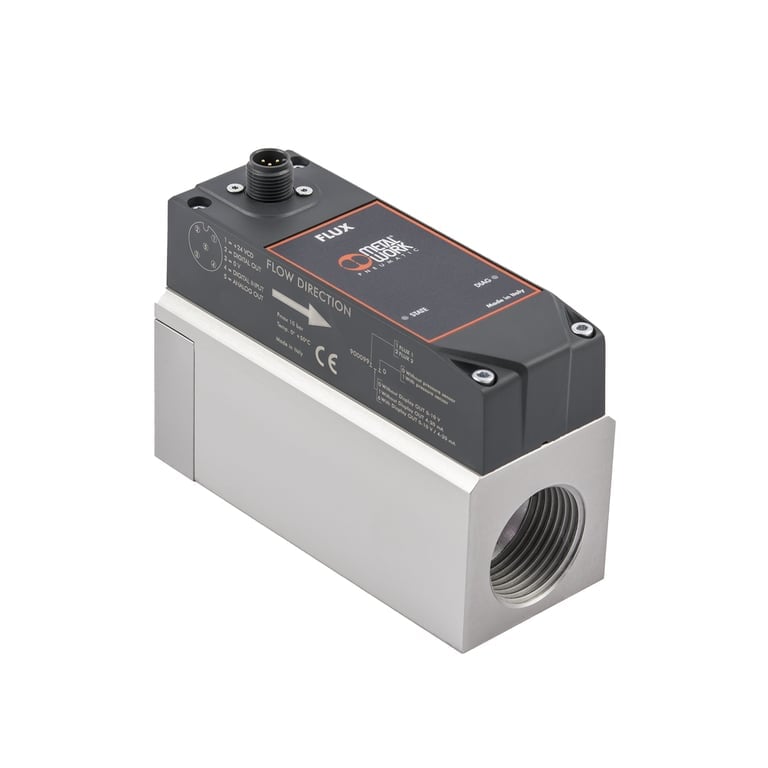 Riegler 148203 Durchflussmesser »FLUX«, BG 2, 0 … 10 V/4 … 20 mA - Bild 1