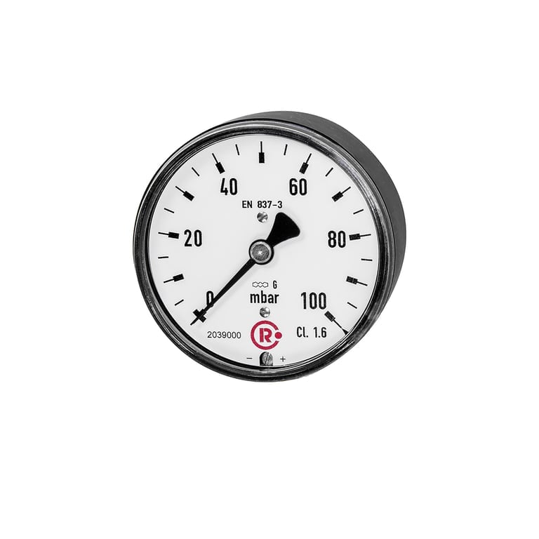 Riegler 199305 Kapselfedermanometer, G 1/4 hinten zentrisch, 0 - 250 mbar, Ø 63