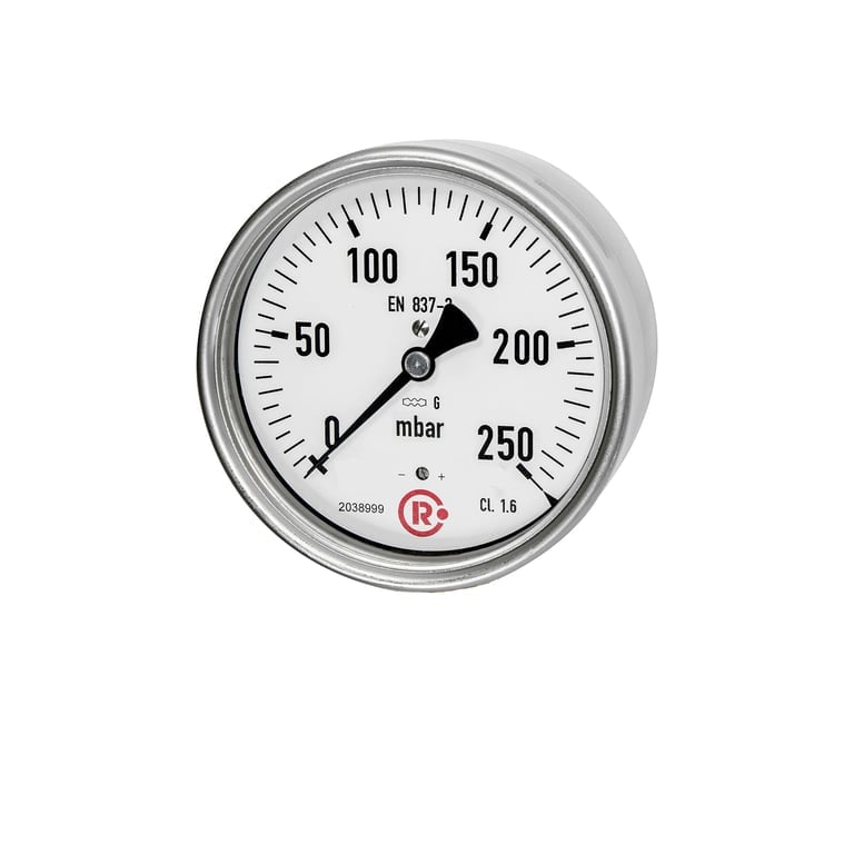 Riegler 199310 Kapselfedermanometer, G 1/2 hinten zentrisch, 0 - 100 mbar, Ø 100