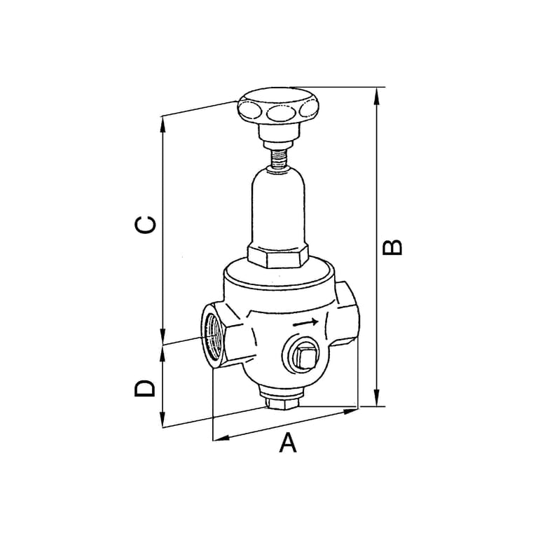 Riegler 101432 Druckregler DRV 200, Standardausführung, G 1 1/2, 1,5 - 8 bar - Bild 4