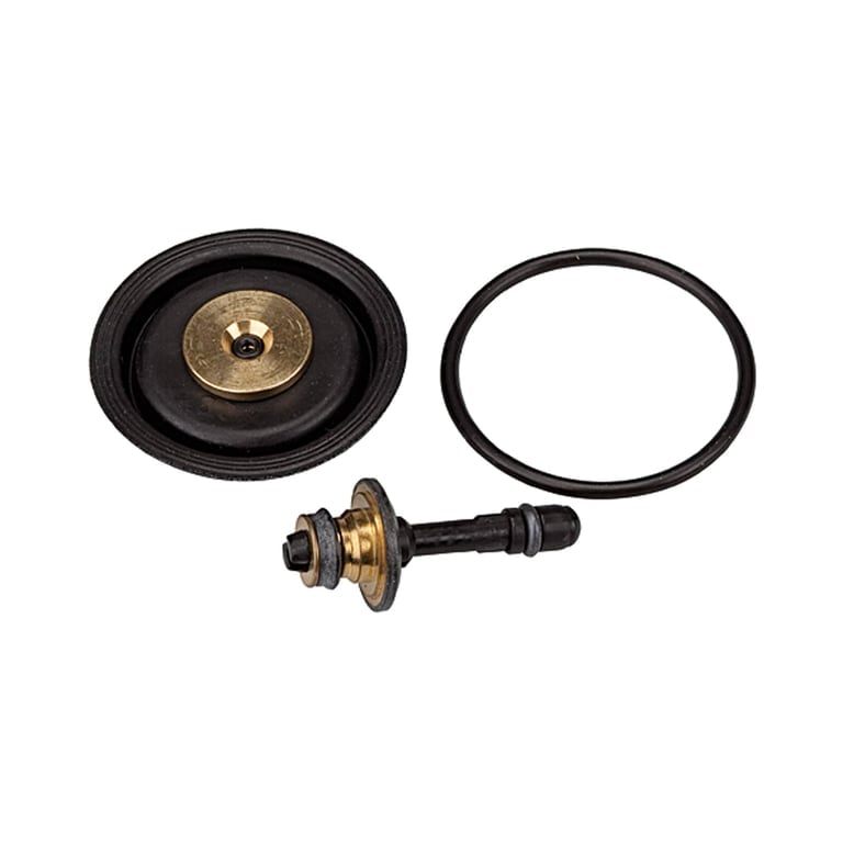 Riegler 100438 Verschleißteilesatz inkl. Membrane, Ventilkegel und O-Ring 30x2