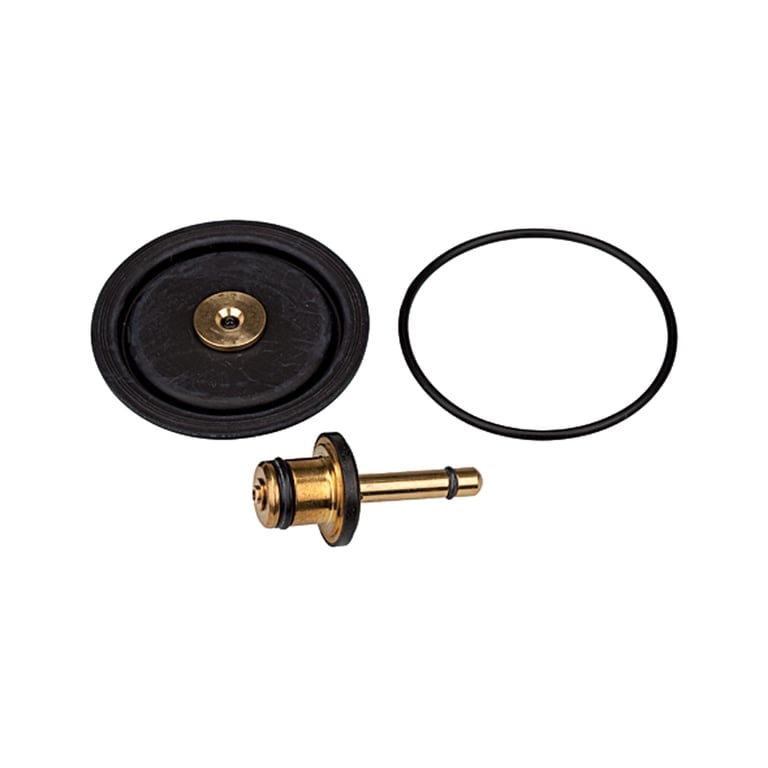 Riegler 100444 Verschleißteilesatz inkl. Membrane, Ventilkegel und O-Ring 50x2