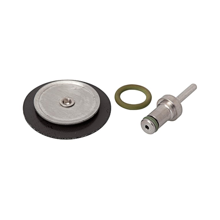 Riegler 101190 Verschleißteilesatz, für Edelstahl-Druckregler, 1.4571, G 1/4