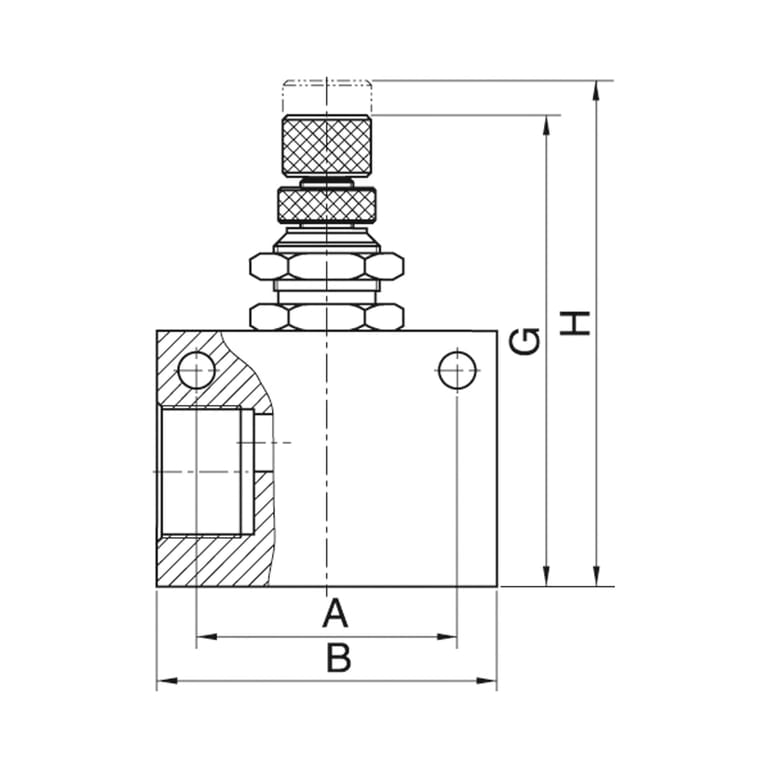 Riegler 115508 Drosselrückschlagventil »ASC«, in Blockform, Aluminium, G 3/8 - Bild 2