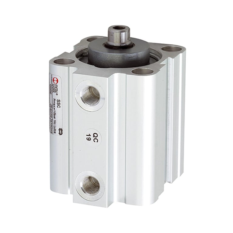 Riegler 105957 Kurzhubzylinder, einfachwirkend, Magnet, Kolben-Ø 20, Hub 25, M5 - Bild 1