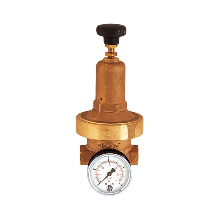 Riegler 101436 Druckregler DRV 250, Niederdruckausführung, G 1/2, 0,2 - 2 bar - Bild 1