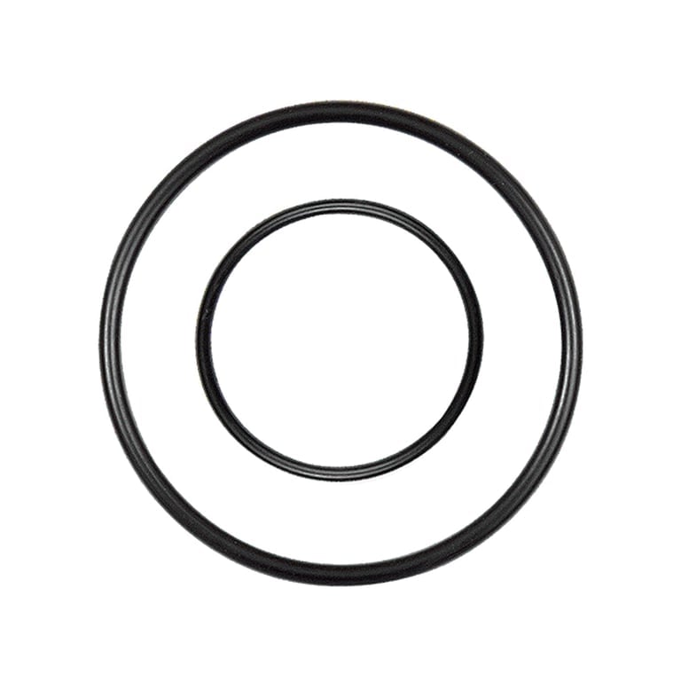 Riegler 137123 Ersatzdichtung für Edelstahl-Filter/Filterregler, BG 4
