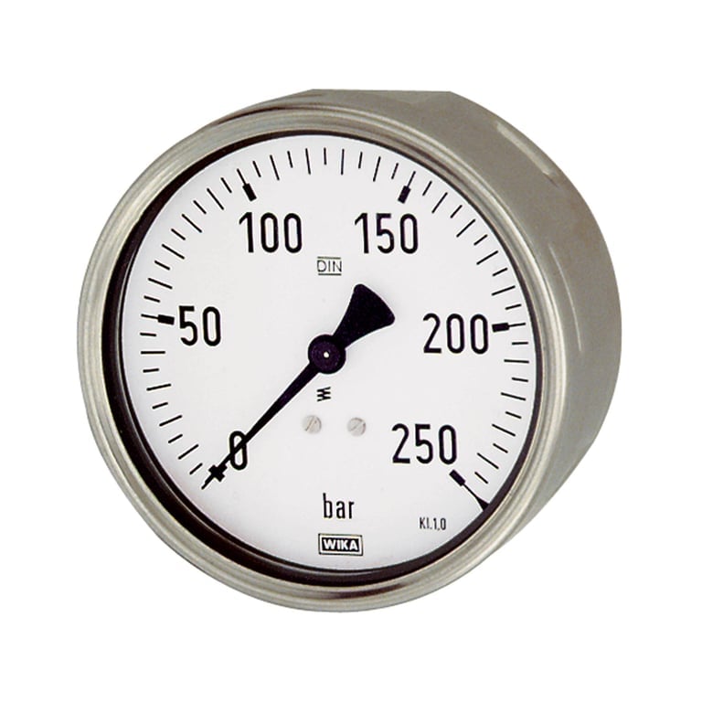 Riegler 102061 Manometer, Robustausf., G 1/2 hinten exzentr., 0 - 6,0 bar, Ø 100