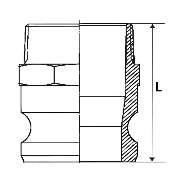 Riegler 108133 Kamlok-Schnellkupplungsstecker mit AG, Typ F, ES 1.4401, R 1 1/4 - Bild 2
