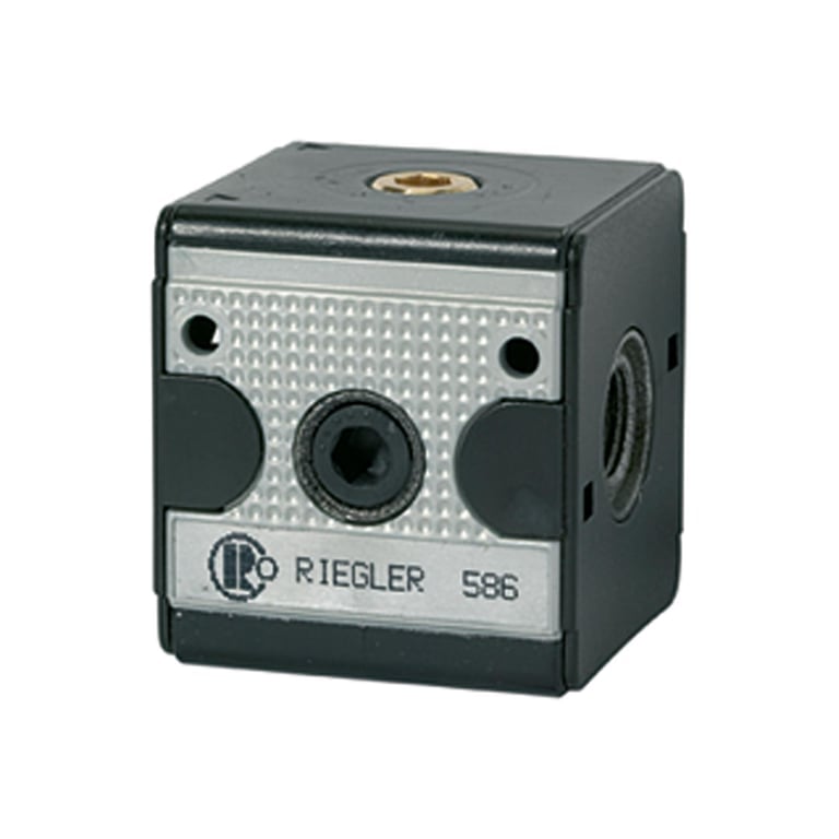 Riegler 100631 Rückschlagventil »multifix«, BG 1, G 3/8 - Bild 1