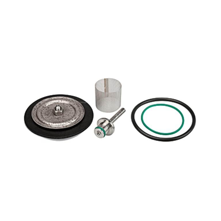 Riegler 194362 Verschleißteilesatz mit PTFE-Membrane, max. 50 bar, G 1/4