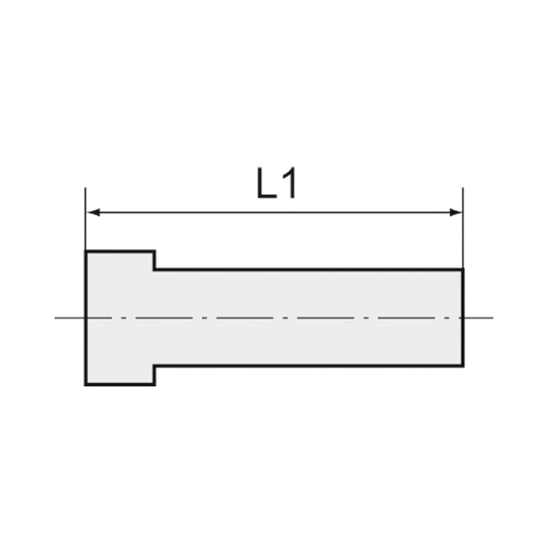 Riegler 129490 Verschlussstecker »value line«, Steckn. 14 mm,Messing vernickelt - Bild 2